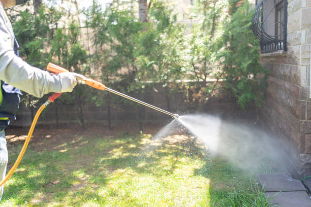 Best Residential Pest Control  in Bridgeville, DE